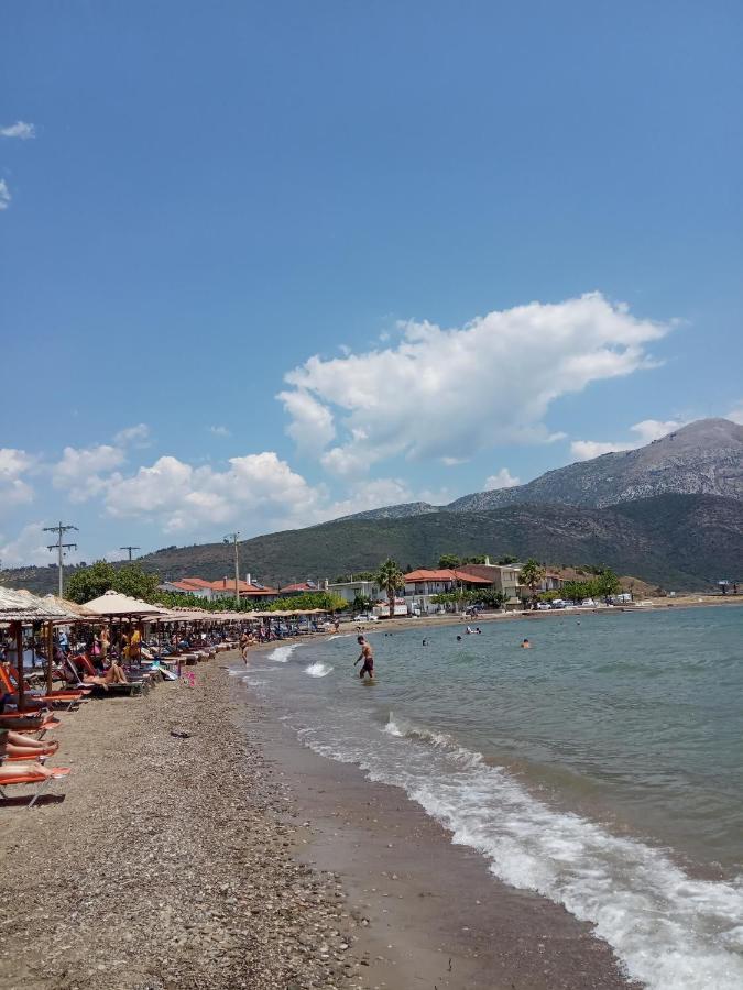 나프팍토스 Πέτρινο Στη Θάλασσα 아파트 외부 사진